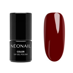 Cool Muse Collection Set Cool Muse Collection Set