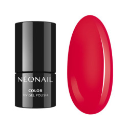 Starter Set Adorable Starter Set Adorable