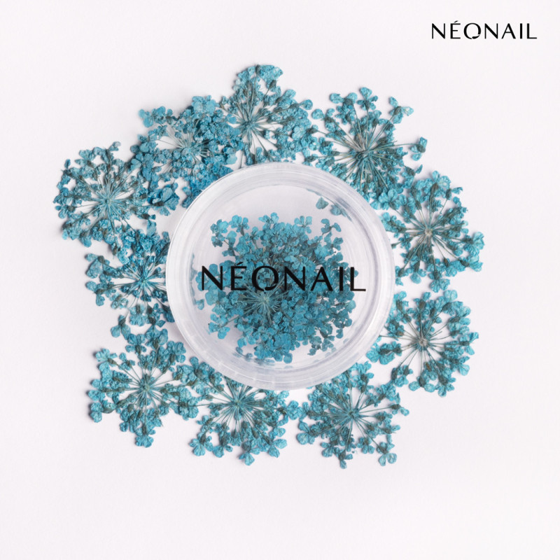 Dried flowers 05 - Turquoise