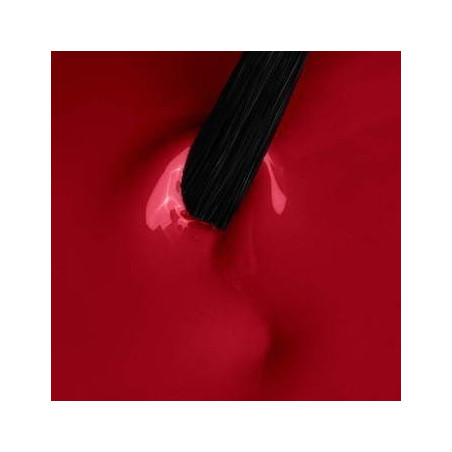 Starter Set Basic 21 Days