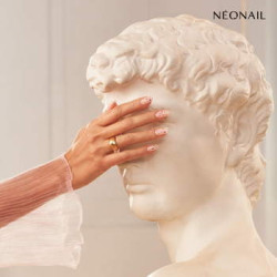 Dried flowers 01 - Pink