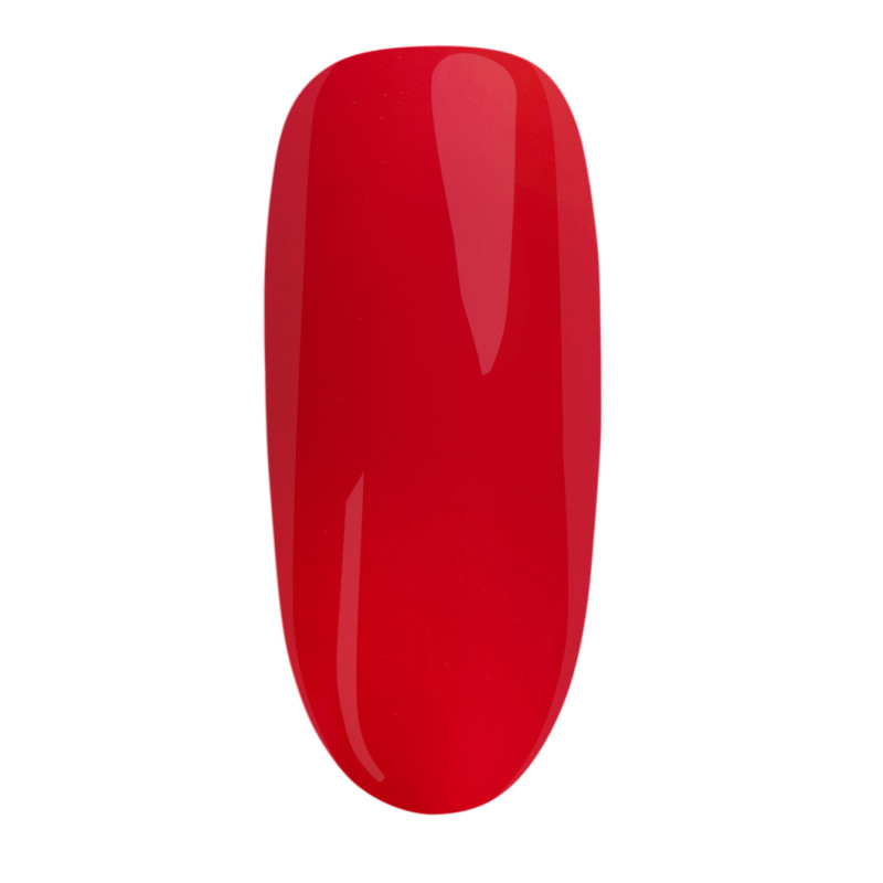 YOUR SPECIAL TRIO - Gellak en Effect Set YOUR SPECIAL TRIO - Gellak en Effect Set