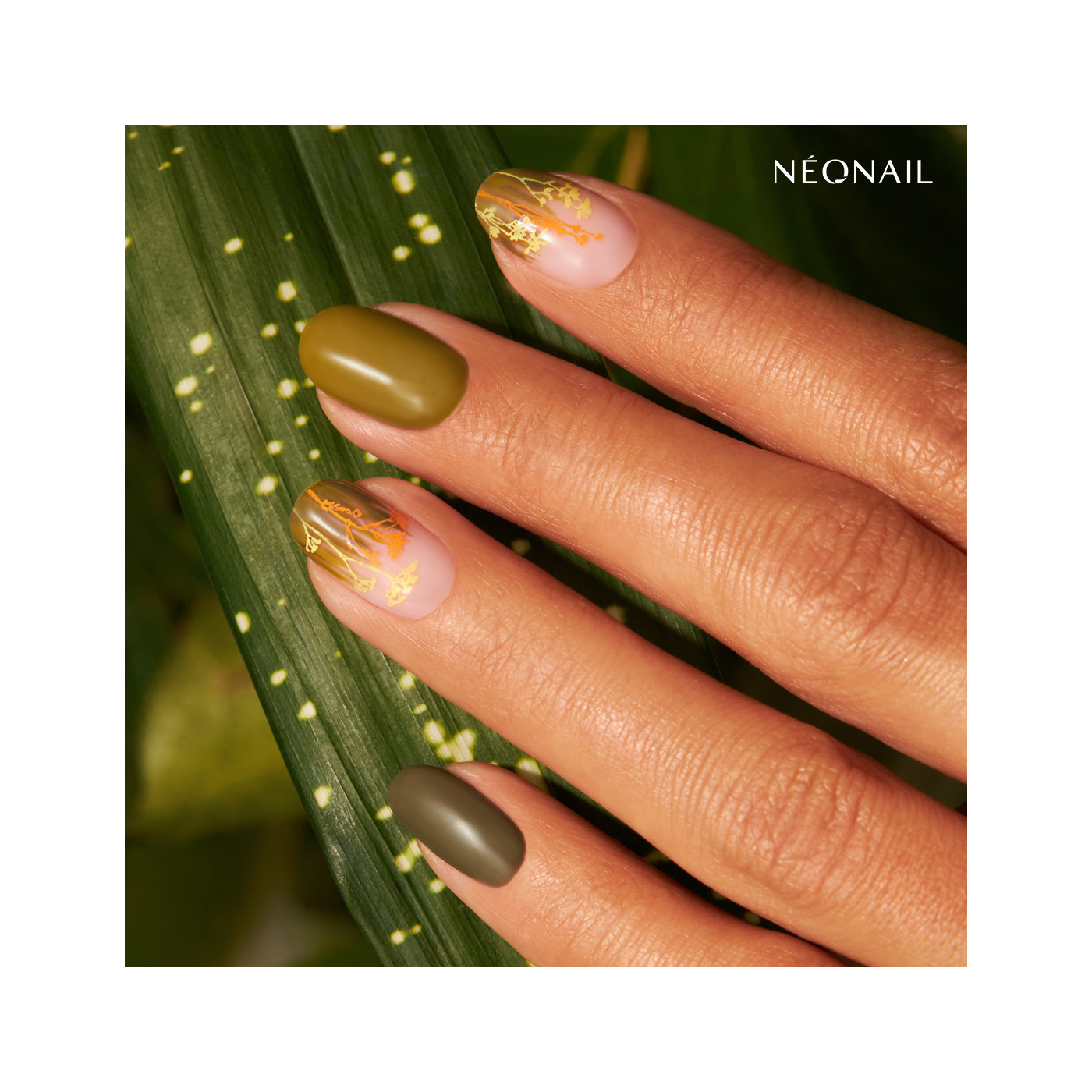 Stamping plate 22 Stamping plate 22