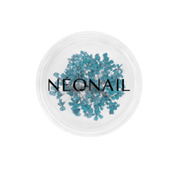 Dried flowers 05 - Turquoise Dried flowers 05 - Turquoise