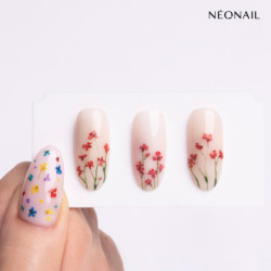 Dried flowers 08 - Red Dried flowers 08 - Red