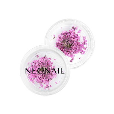 Dried flowers 02 - Purple