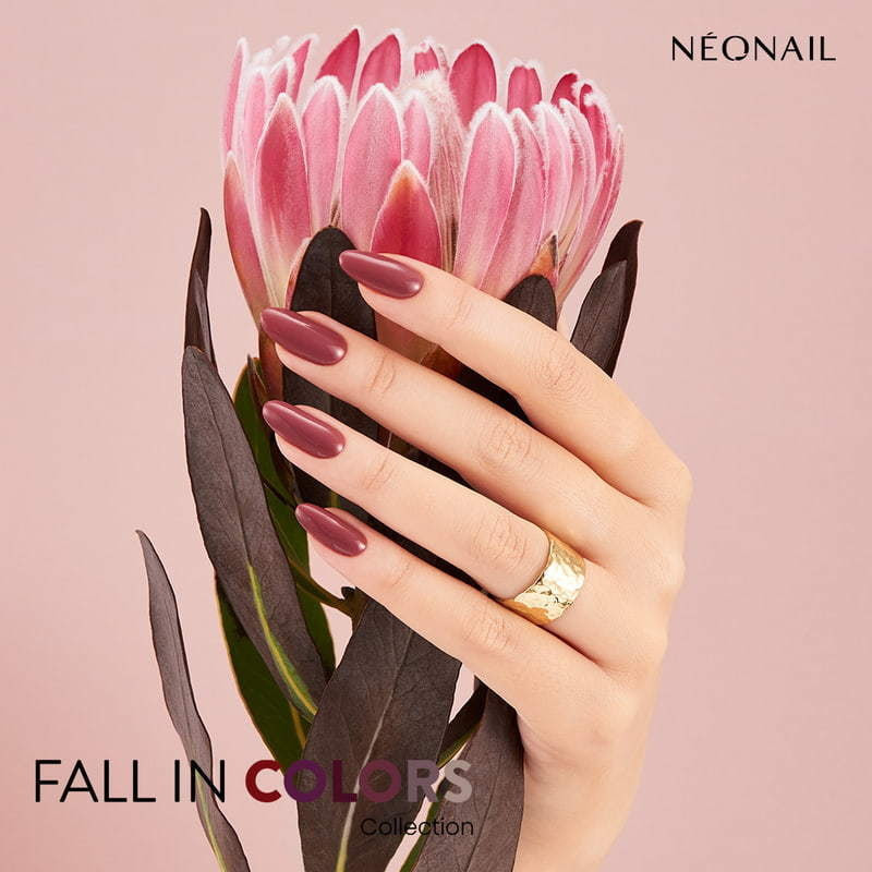 Gellak 7,2 ml - Jolly State Gellak 7,2 ml - Jolly State