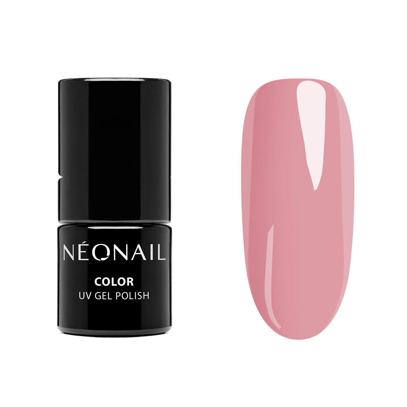 STARTER SET ESSENTIALS STARTER SET ESSENTIALS