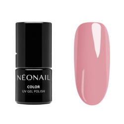 STARTER SET ESSENTIALS STARTER SET ESSENTIALS