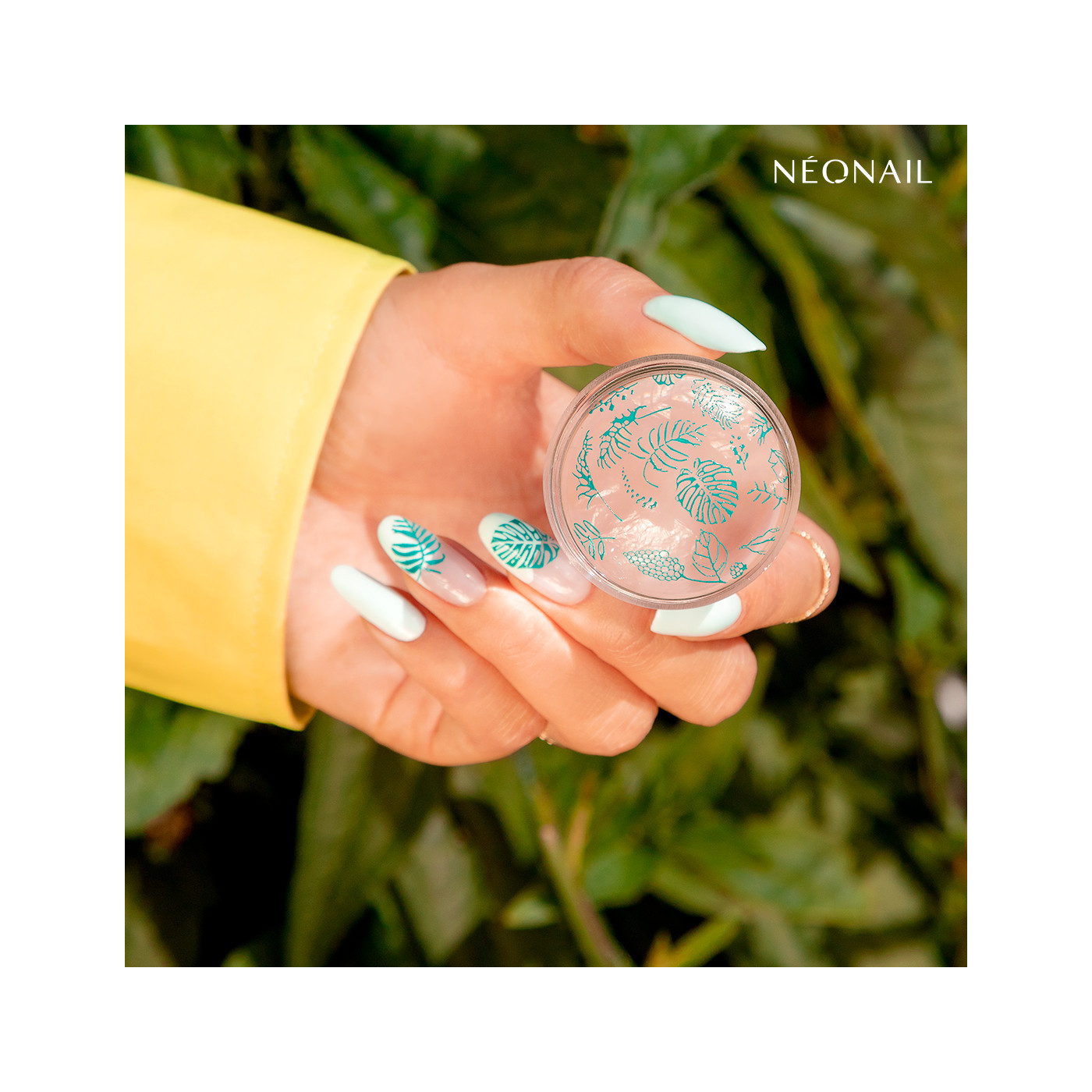 Stamping plate 16 Stamping plate 16