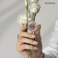 Dried flowers 01 - Pink Dried flowers 01 - Pink