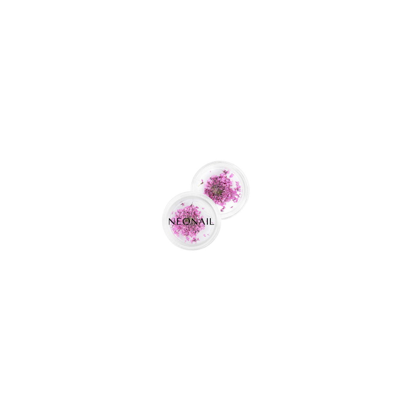 Dried flowers 02 - Purple