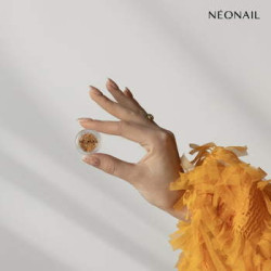 Dried flowers 03 - Orange