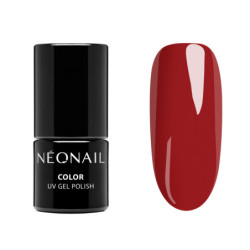 Golden Muse Collection Set Golden Muse Collection Set