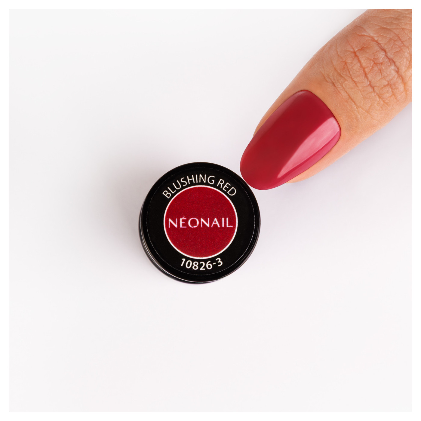 Golden Muse Collection Set Golden Muse Collection Set