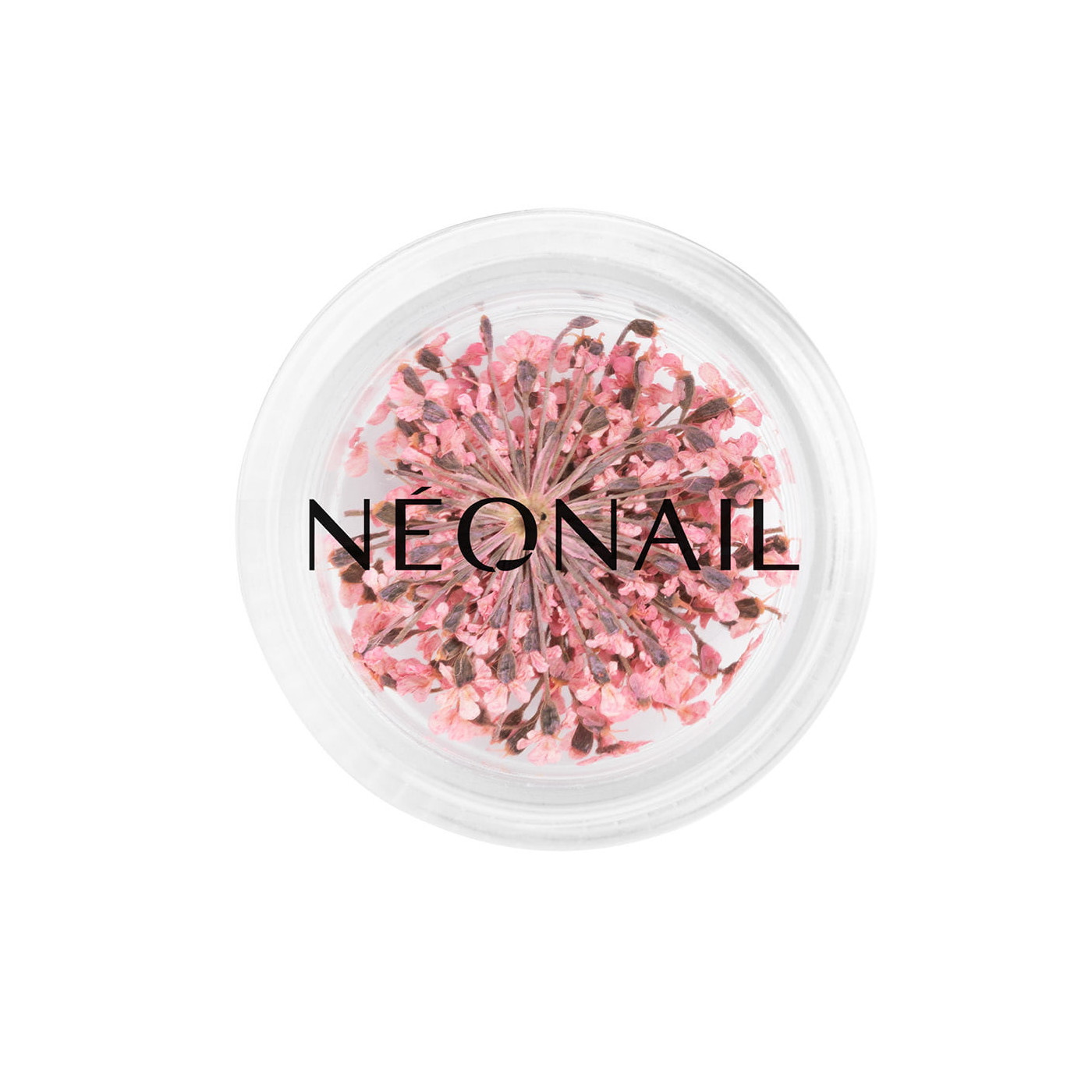 Dried flowers 01 - Pink