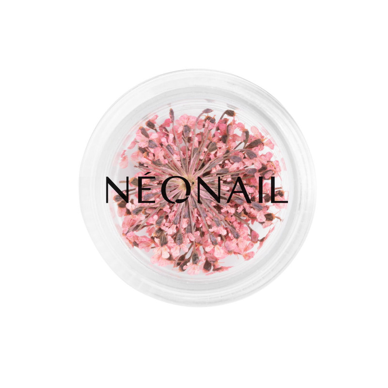 Dried flowers 01 - Pink