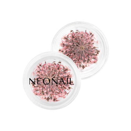 Dried flowers 01 - Pink