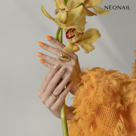 Dried flowers 03 - Orange